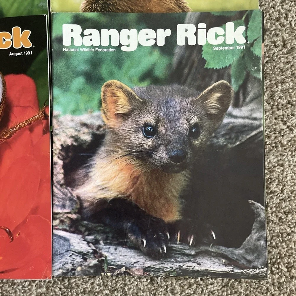 Ranger Rick's Nature Magazine 1991 National Wildlife Kids Vtg Lot Of 12 Complete